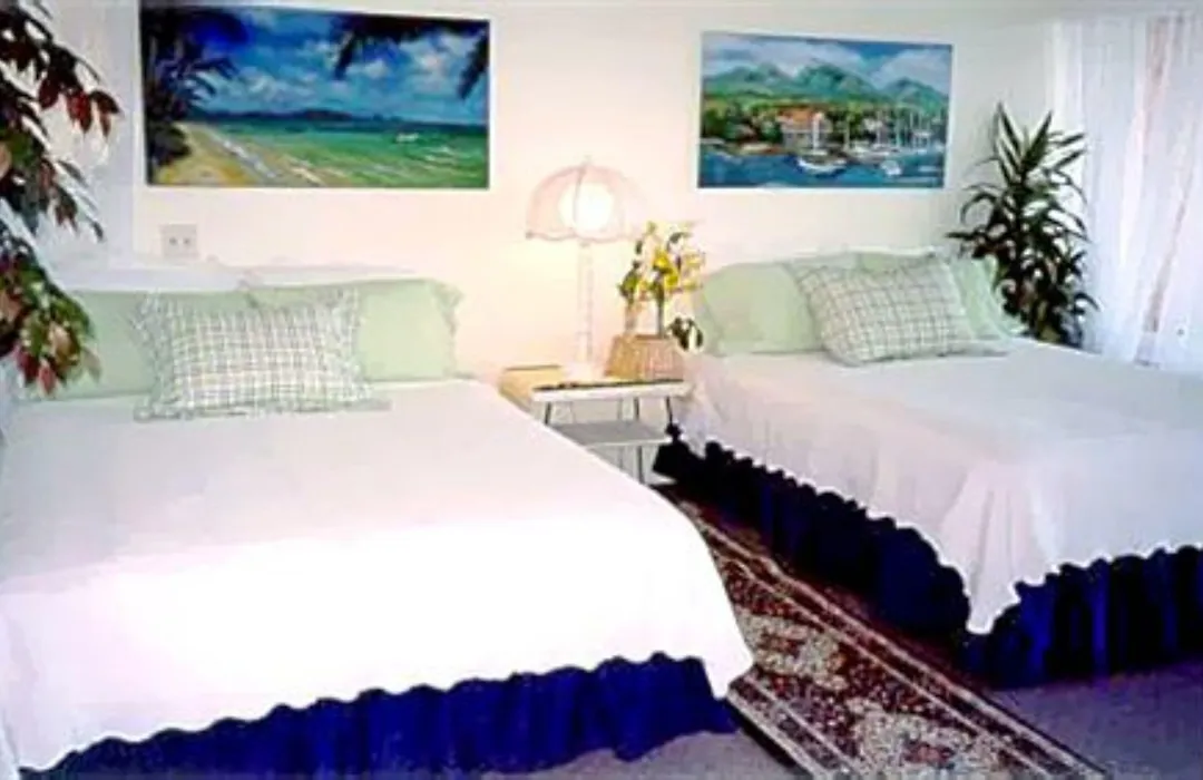 Hale-Hoola B & B-1